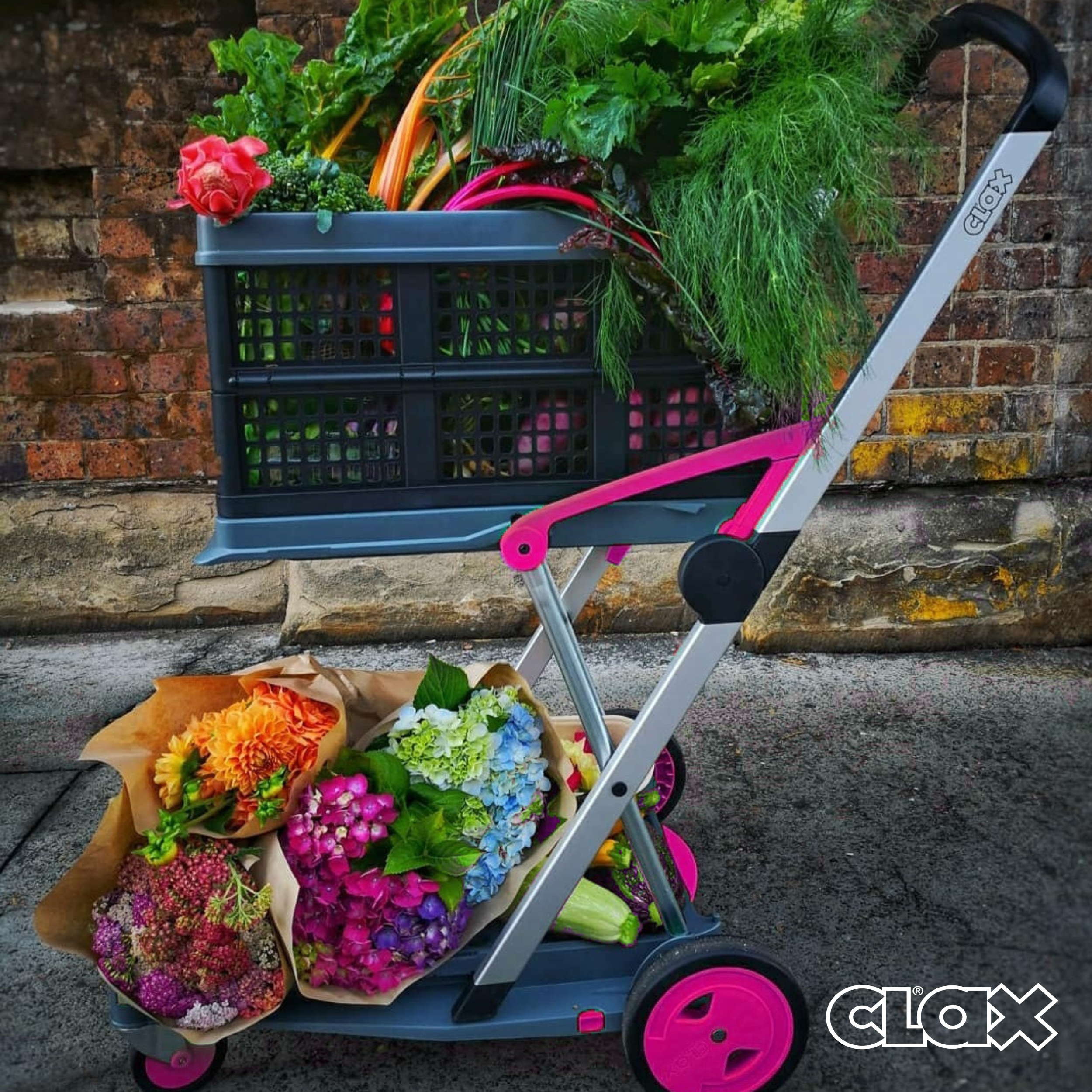 Clax pink cart