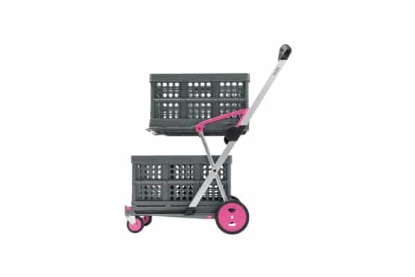Pink Clax Carte